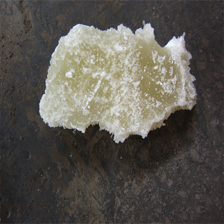 美女骚网站